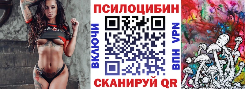 купить закладку  Шадринск  мориарти официальный сайт  Псилоцибиновые грибы ЛСД 