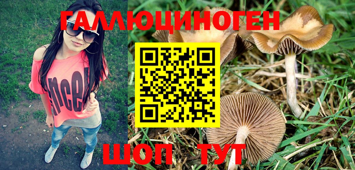 Галлюциногенные грибы Magic Shrooms  Вход с VPN  Шадринск 