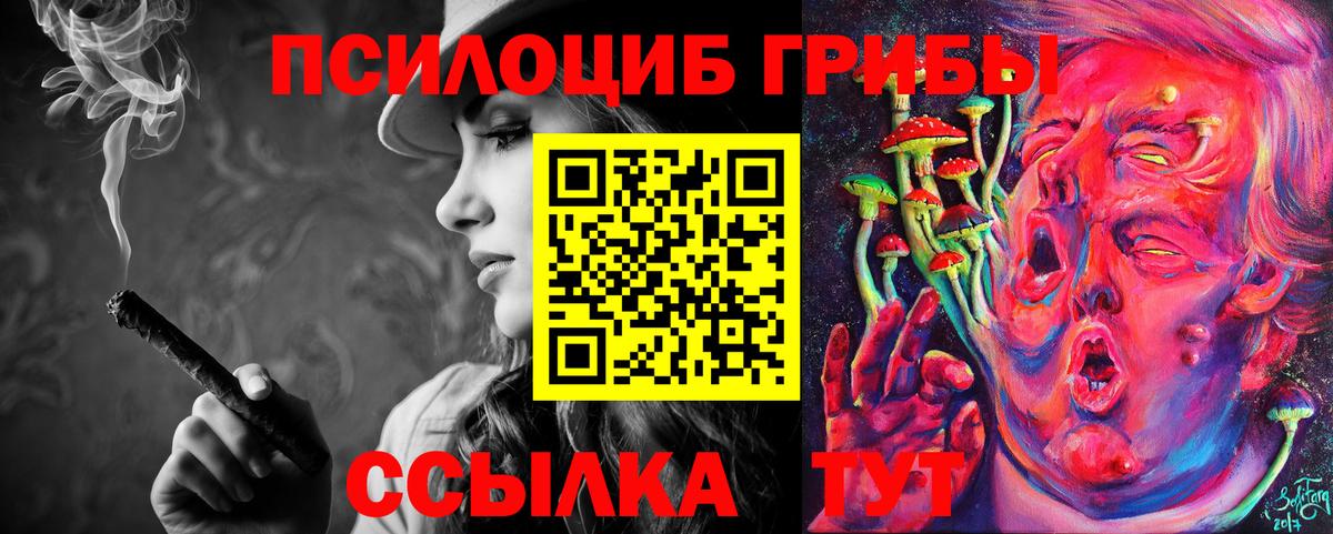 Псилоцибиновые грибы Cubensis Шадринск